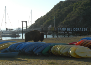 Camp Del Corazon Beach